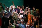 L'elisir d'amore
