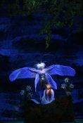 La flute Enchantée 0003.jpg