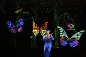La flute Enchantée 0017.jpg