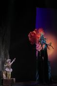 18 Coronis ©Philippe Delval théâtre de Caen.jpg