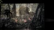 La lune est en amazonie /  Heidi Abderhalden Rolf Abderhalden / 2021